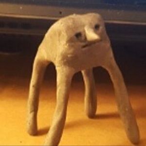 Meet your Posher, Kylee